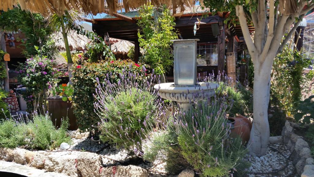 Casa Giuliana Bed & Breakfast Charco del Pino Eksteriør bilde